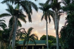 the-guest-house-pongola-contac-details