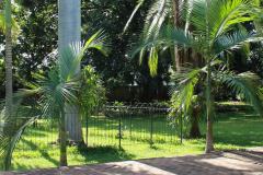 where-to-stay-pongola